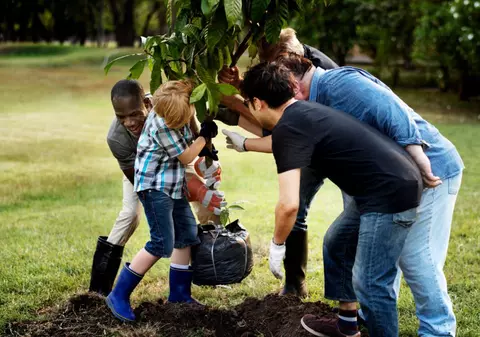 Povestea celor 100 de voluntari care au plantat mii de copaci pe 30 de hectare de pajiște 
