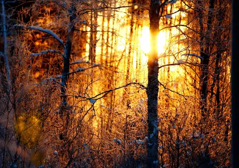 Cum va fi vremea mâine. Prognoza meteo pentru joi, 23 ianuarie 2025