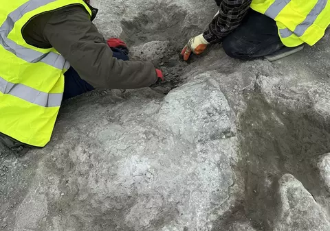 Peste 200 de urme de dinozauri de 166 milioane de ani, descoperite în Anglia. De ce importanța lor este una majoră I VIDEO