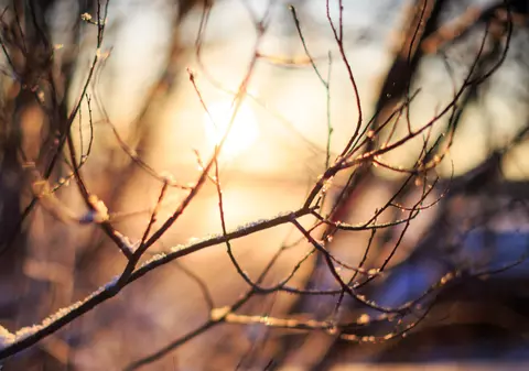 Cum va fi vremea mâine. Prognoza meteo sâmbătă, 4 ianuarie 2025