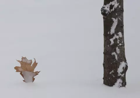 Bucureștiul are cel mai gros strat de zăpadă din sudul României. Câți centimetri măsoară. Harta zonelor unde a nins cel mai mult în ultimele ore