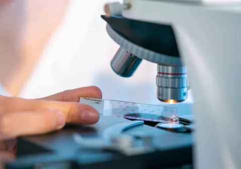 Noua IA a Google a rezolvat în două zile o investigație legată de rezistența bacteriană, o problemă pe care oamenii de știință o investighează de un deceniu