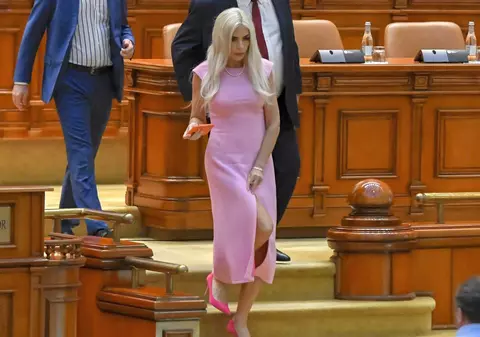 Cine este Laura Vicol, reținută de DIICOT în dosarul Nordis, unde prejudiciul este de 195 de milioane de euro