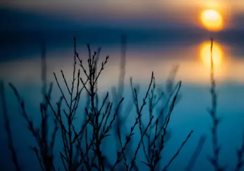 Cum va fi vremea în perioada 3 - 16 februarie 2025. Meteorologii au emis prognoza meteo pentru următoarele două săptămâni