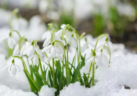 Cum va fi vremea mâine. Prognoza meteo pentru sâmbătă, 1 martie 2025