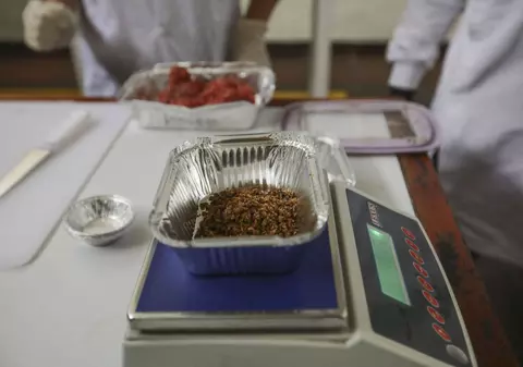 Verificarea informațiilor: sunt europenii forțați să consume insecte periculoase?