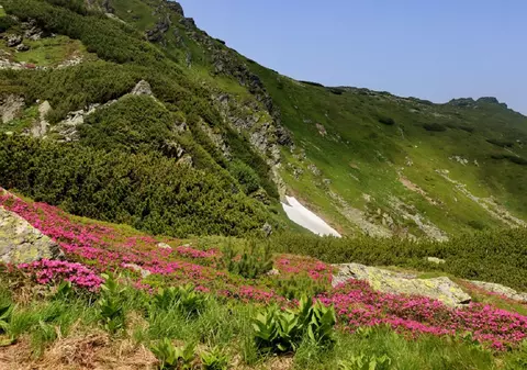 Munții Rodnei – curiozități. Unde se află și ce poți vizita