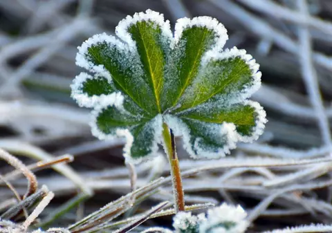 Cum va fi vremea mâine. Prognoza meteo pentru joi, 6 februarie 2025