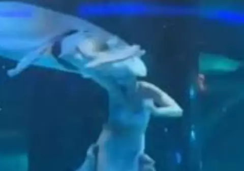 Sirena dintr-un acvariu a fost atacată de un pește uriaș, care a vrut să o mănânce. Zeci de copii au privit îngroziți momentul