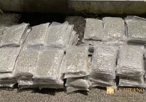 Șofer român de TIR, prins cu 90 de kilograme de marijuana ascunse în camion, în Italia. Locul surprinzător în care erau depozitate drogurile