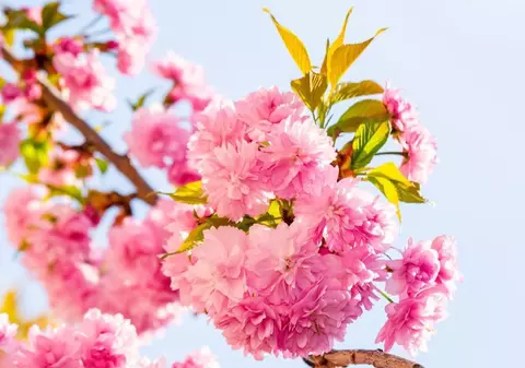 Cum va fi vremea în următoarele patru săptămâni. Prognoza meteo pentru perioada 17 martie - 13 aprilie 2025