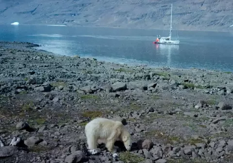 Familia care trăiește de 25 de ani pe mare: „Acoperișul nostru este cerul”. Sabine, însărcinată de 6 ori pe micul vas