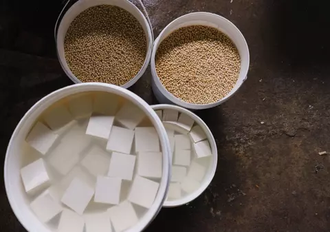 Motivul pentru care o țară din Europa interzice soia în școli, cantine și spitale: „Poate fi de 100 de ori mai mare în biscuiții-aperitiv”