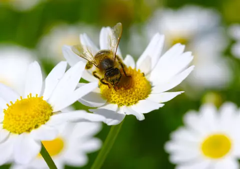 Cum va fi vremea mâine. Prognoza meteo pentru joi, 27 martie 2025