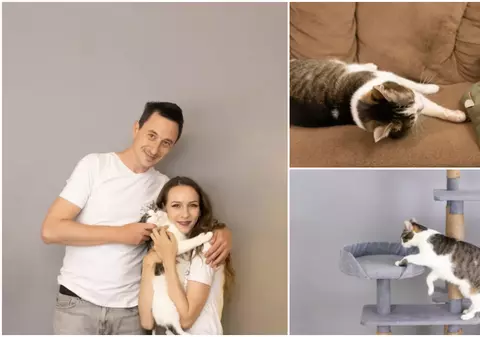 Doi tineri antreprenori din Iași, inspirați de motanul lor, Mișu, au dezvoltat o afacere dedicată pisicilor