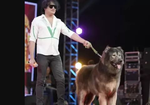 Un câine a fost vândut cu 5,7 milioane de dolari: „Rasă unică. Cel mai scump din lume”