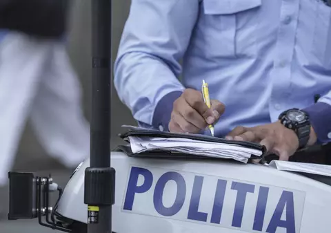 Codul Rutier 2025: Amenzi de 4.000 de lei pentru șoferii care nu transportă corect animalele în mașină