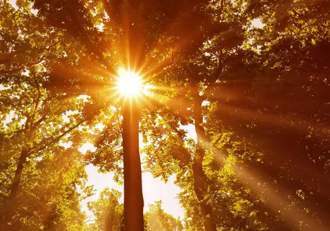 Cum va fi vremea mâine. Prognoza meteo pentru joi, 6 martie 2025