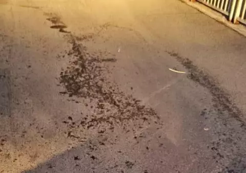 Stare de urgență cerută din cauza a milioane de țânțari și musculițe într-un oraș din Toscana: „Nu ne putem plimba în aer liber”