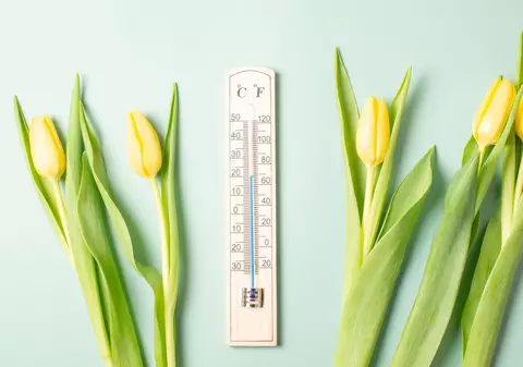 Cum va fi vremea mâine. Prognoza meteo pentru luni, 24 martie 2025