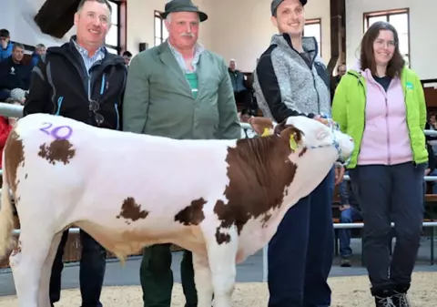 Acest vițel este mai scump decât un Porsche 911 | VIDEO