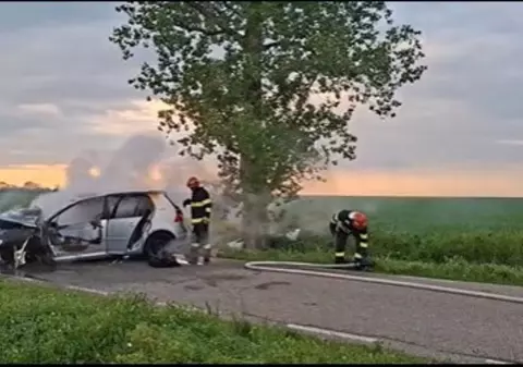 Un șofer a fost găsit mort pe marginea drumului, după ce a intrat cu mașina într-un copac, în Timiș. Autoturismul a luat foc | VIDEO