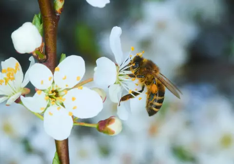 Cum va fi vremea în București în perioada 14 - 16 aprilie 2025. Prognoza meteo de la ANM