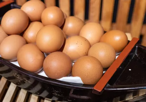 Cât costă oul pentru Paște. Fermierii spun că au pentru toată lumea