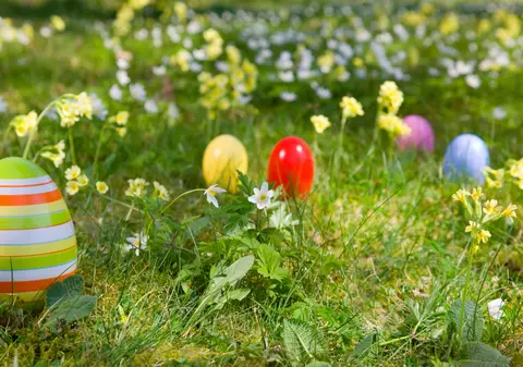 Obiceiuri pascale în Europa: în unele regiuni, vulpea aduce ouăle colorate