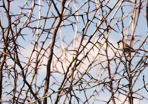 Cum va fi vremea mâine. Prognoza meteo pentru miercuri, 16 aprilie 2025