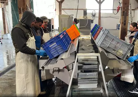 Povestea românilor ajunși în Germania ca să câștige 2.161 de euro pe lună. Au plecat miercuri, vineri au început munca