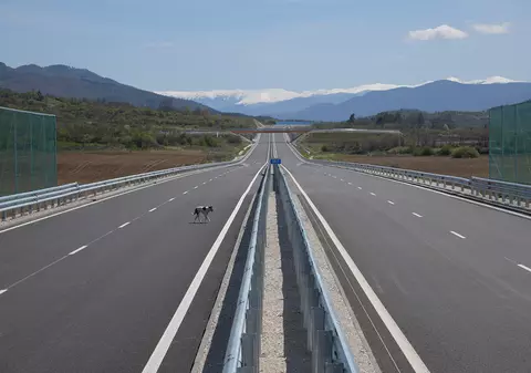 Cine răspunde când un animal intră pe autostradă. CNAIR încearcă să scape de responsabilitate în cazul unui câine care a provocat „daună totală”