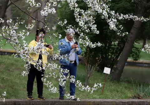 Cum va fi vremea în luna mai 2025. Prognoza meteo pentru următoarele patru săptămâni
