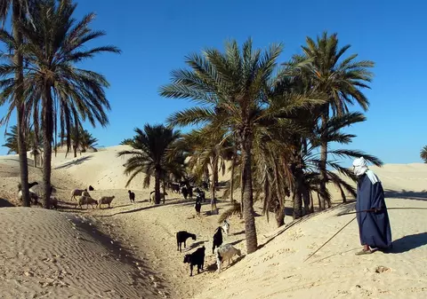 Ciobanii din Sahara vând stele căzătoare, pe care cer mii de dolari