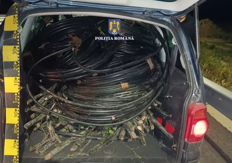 Cinci bărbați din Brăila, prinși când „furau curent” la propriu: aveau în mașină 500 de kilograme de conductori electrici