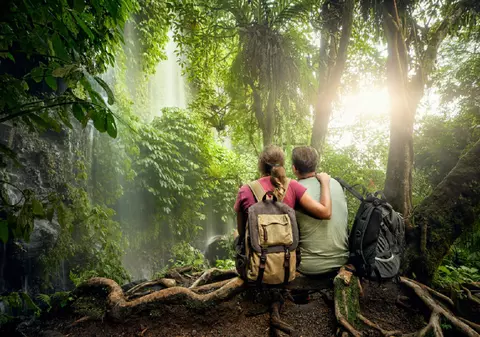 Ce înseamnă când visezi junglă
