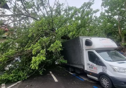 Un copac uriaș a căzut peste 4 mașini parcate și a blocat o stradă întreagă, în sectorul 1 din București