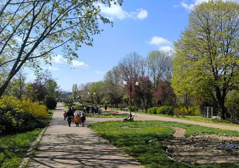 Maimuțele din Olanda, legătură neașteptată cu spațiile verzi de la Grădina Botanică Galați: „A cerut sponsorizări, de parcă se ducea acolo să ia o pisică”