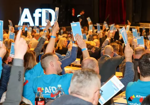 Germania în fața unei decizii cruciale: Va fi interzis partidul AfD, declarat extremist?