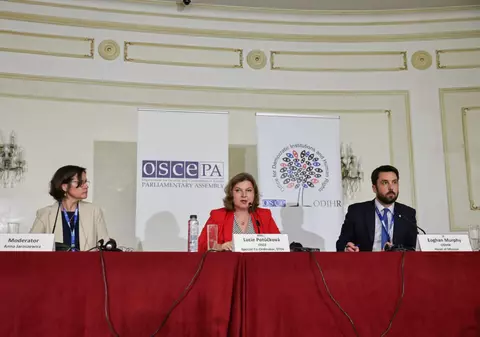 Ce concluzii au tras observatorii internaționali pentru turul 2 al alegerilor prezidențiale: problemele care au împiedicat alegătorii să voteze informat