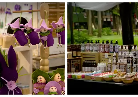 Festivalul Lavandei la Iași: delicii cu lavandă, ateliere pentru copii și produse artizanale