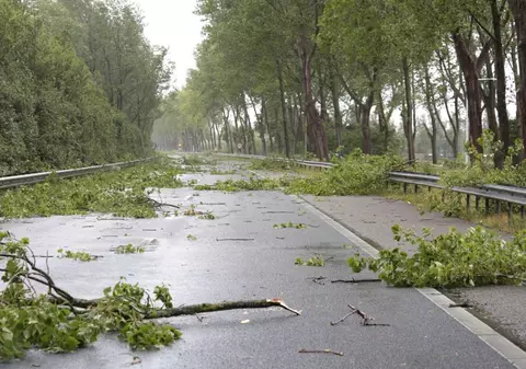Vremea se răcește accentuat în toată țara și va fi lapoviță la munte. Cât ține codul galben de ploi torențiale, vijelii și grindină
