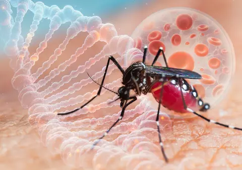 Bolile tropicale dengue și chikungunya se răspândesc alarmant în Europa. Specialist: „Țânțarii tigru migrează spre nord din cauza schimbărilor climatice”