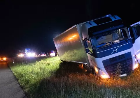 Șofer român de TIR scos de pe șosea de o turmă de căprioare, în Germania