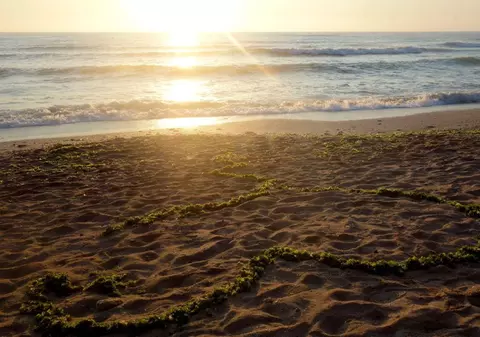 Un simbol al stațiunii Mamaia din Constanța va fi demolat fără evaluare de mediu, arhitecții se revoltă. Ce va apărea în locul lui