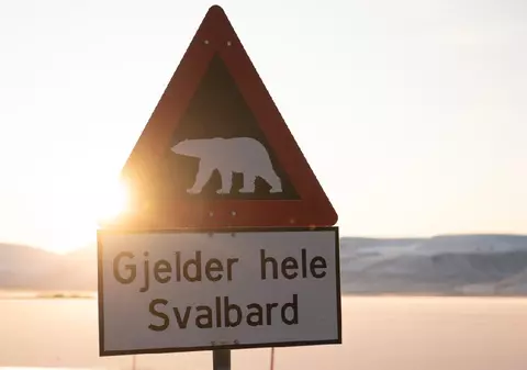 Cele mai ciudate și neînțelese semne de circulație rutieră din Europa: „Atenție! Peisaje frumoase”