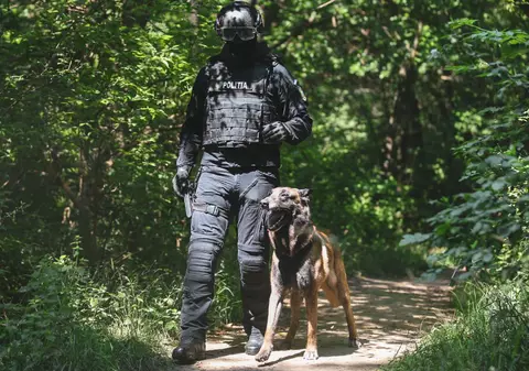 Doi mascați din satul Girov au fost prinși de un câine polițist în timp ce își dădeau foc la haine ca să scape de probe