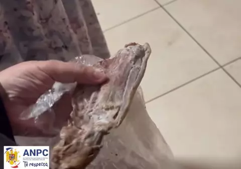 VIDEO Control ANPC KUNGFU KING SRL din Mall Afi Cotroceni