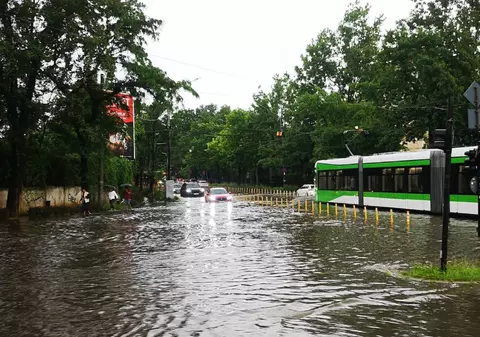 Mai mulți copaci s-au rupt și au căzut pe stradă în Sectorul 2