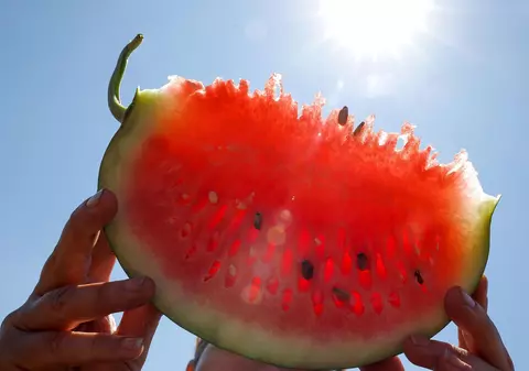 S-au copt pepenii de Dăbuleni. Cât a ajuns să coste un kilogram la piață